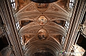 VBS_0725 - Corneliano d'Alba